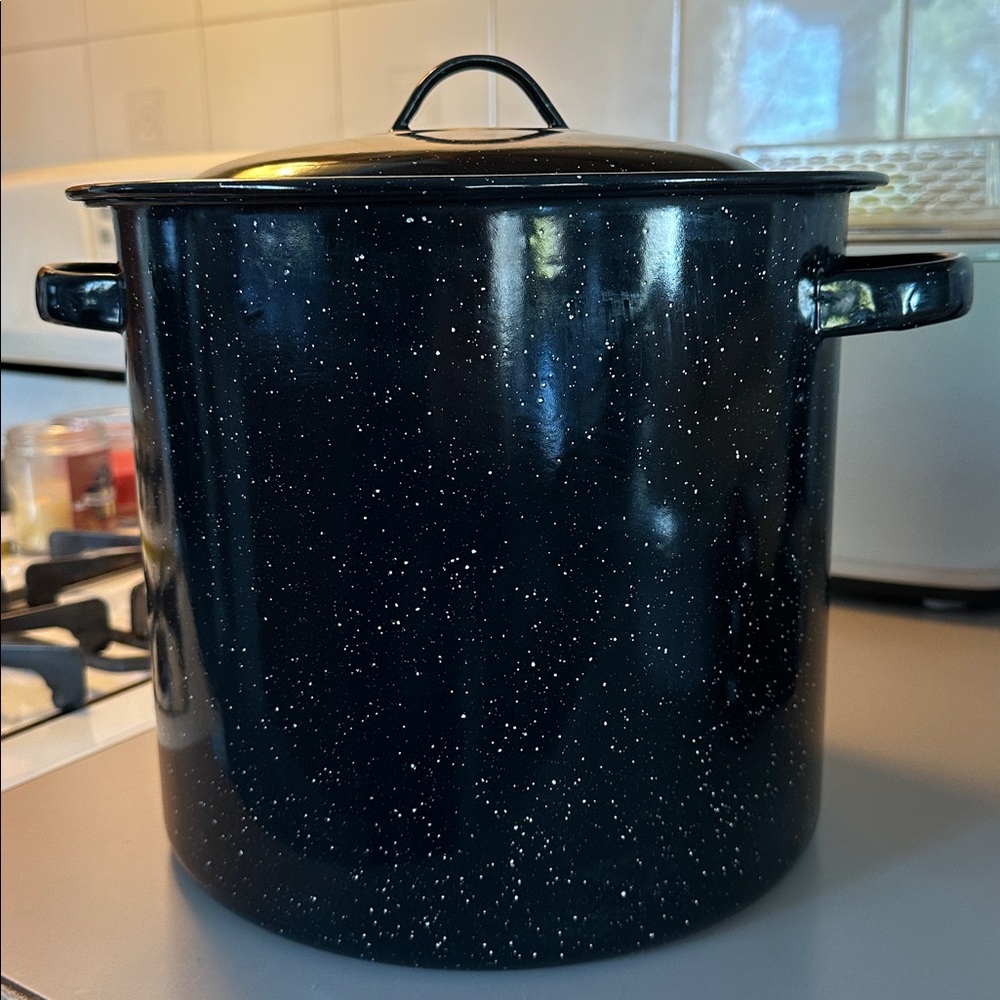 Speckled Black Stock Pot